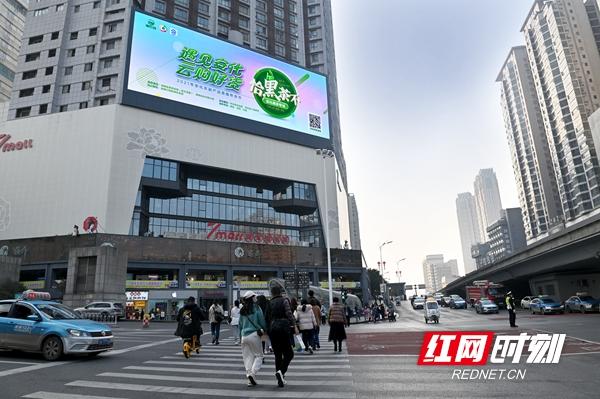 富硒黑茶有哪些品牌