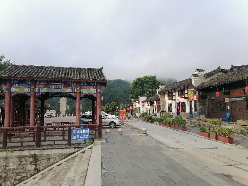 紫阳富硒茶与铁观音