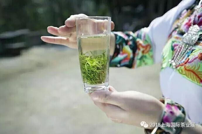 富硒藤茶价格是多少