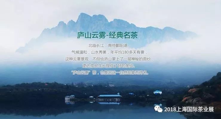 富硒藤茶价格是多少