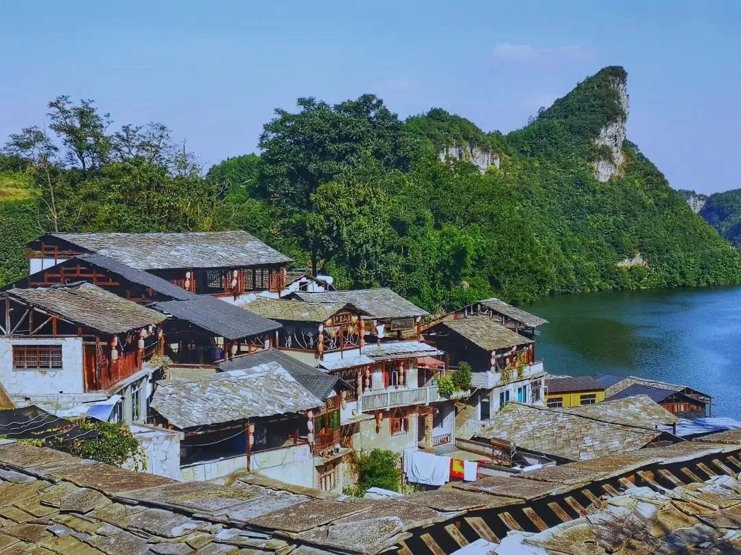 贵州富硒茶是那里的