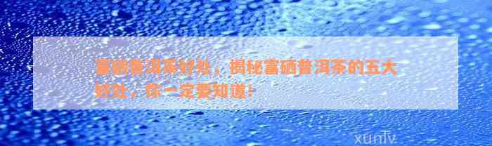 富硒普洱茶好处，揭秘富硒普洱茶的五大好处，你一定要知道！