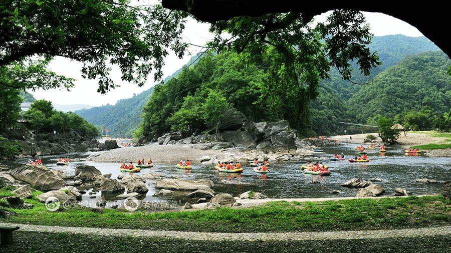 安徽仙寓山富硒野茶