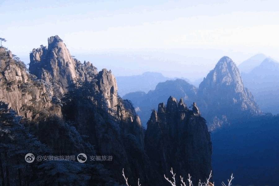 安徽仙寓山富硒野茶
