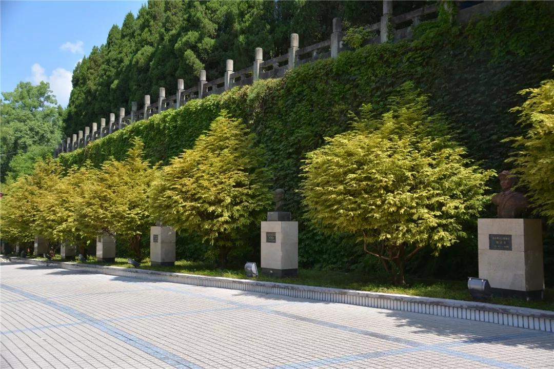 万源富硒茶地理标志