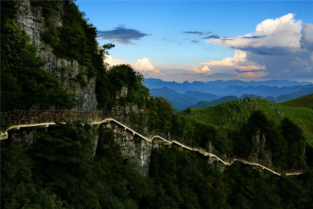 万源富硒茶地理标志