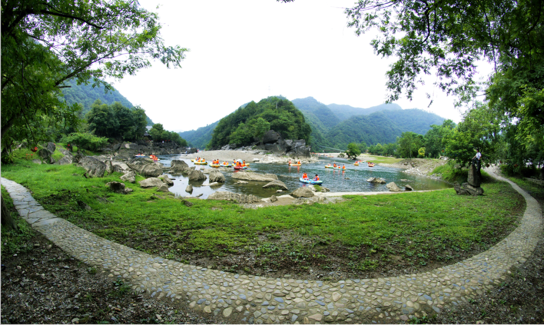 安徽仙寓山富硒野茶