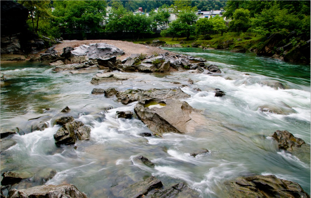 安徽仙寓山富硒野茶