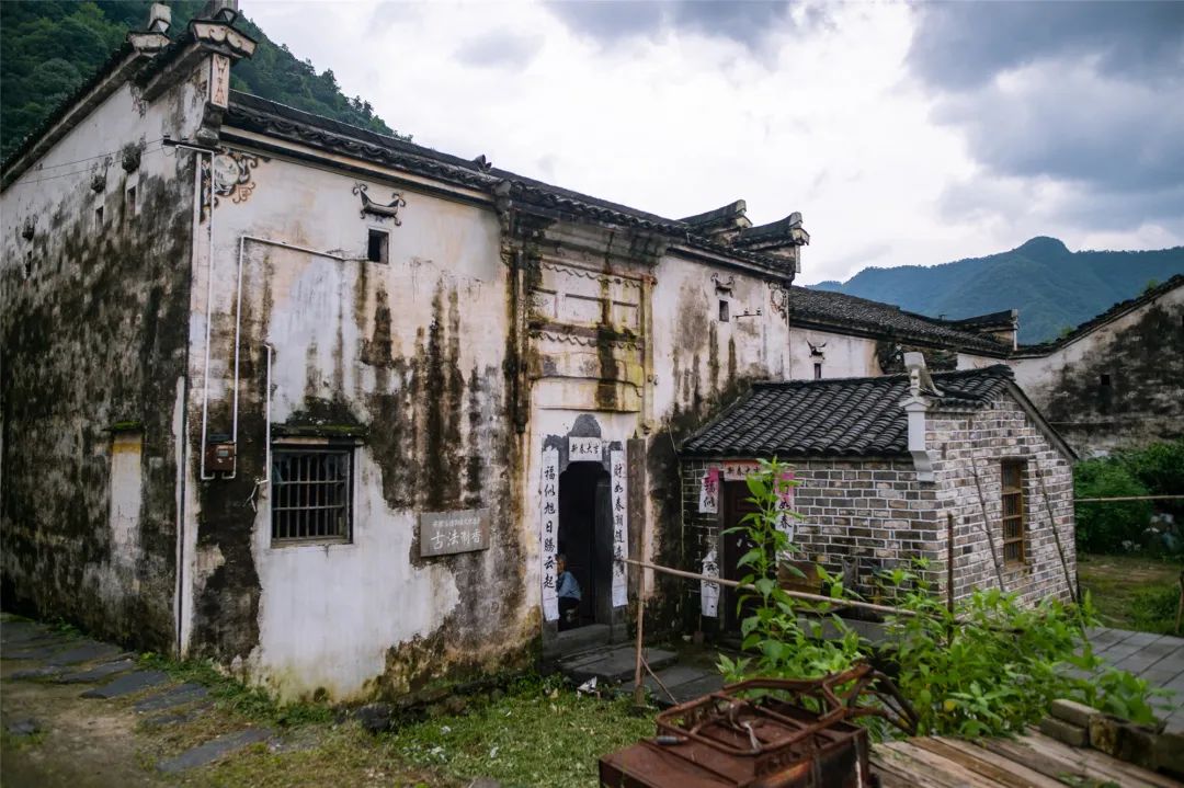 安徽仙寓山富硒野茶