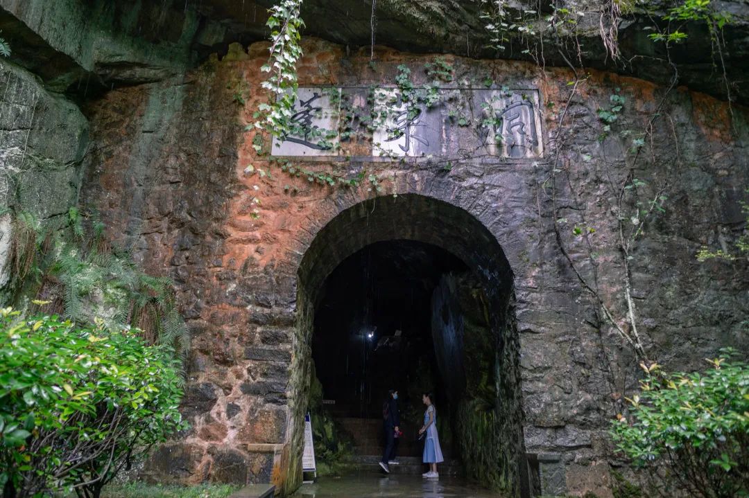 安徽仙寓山富硒野茶