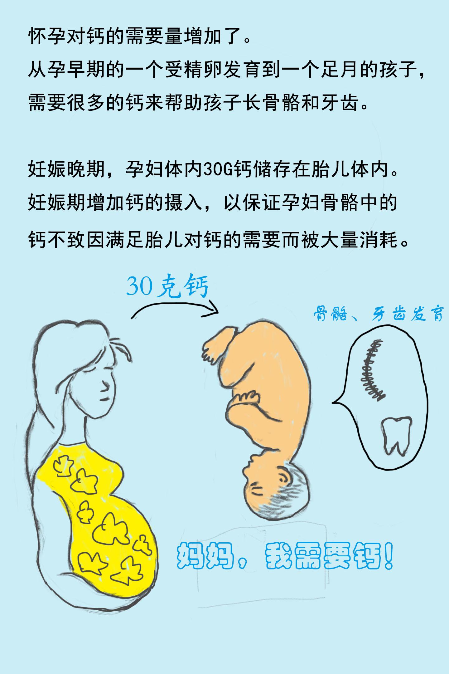 怀孕补钙的最佳时间