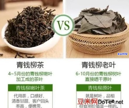 全面解析富硒青钱柳茶：功效、作用及禁忌
