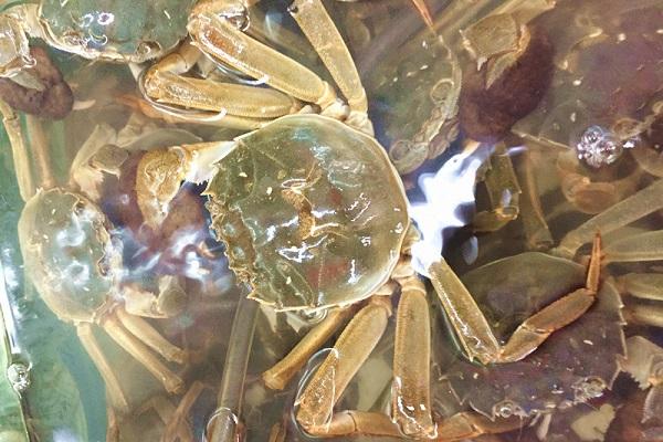 50岁以后怎样补钙最好