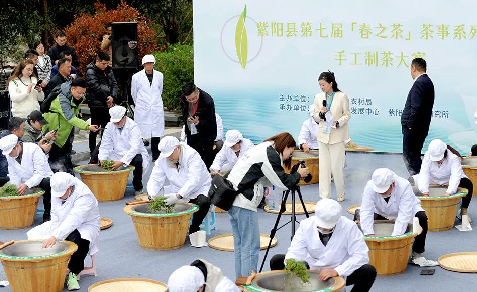 紫阳县哪里产富硒茶