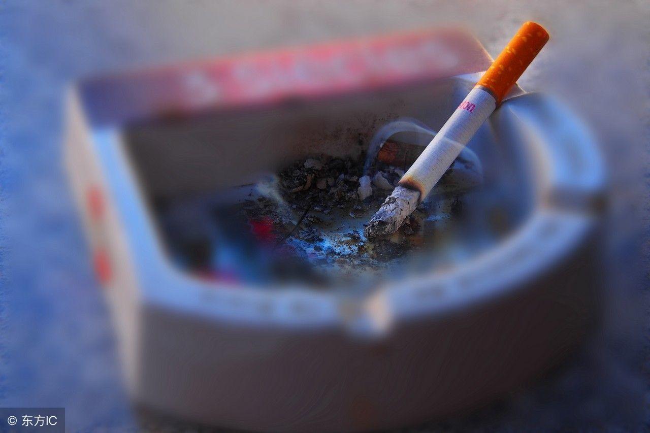 蒿稀富硒茶那样的好