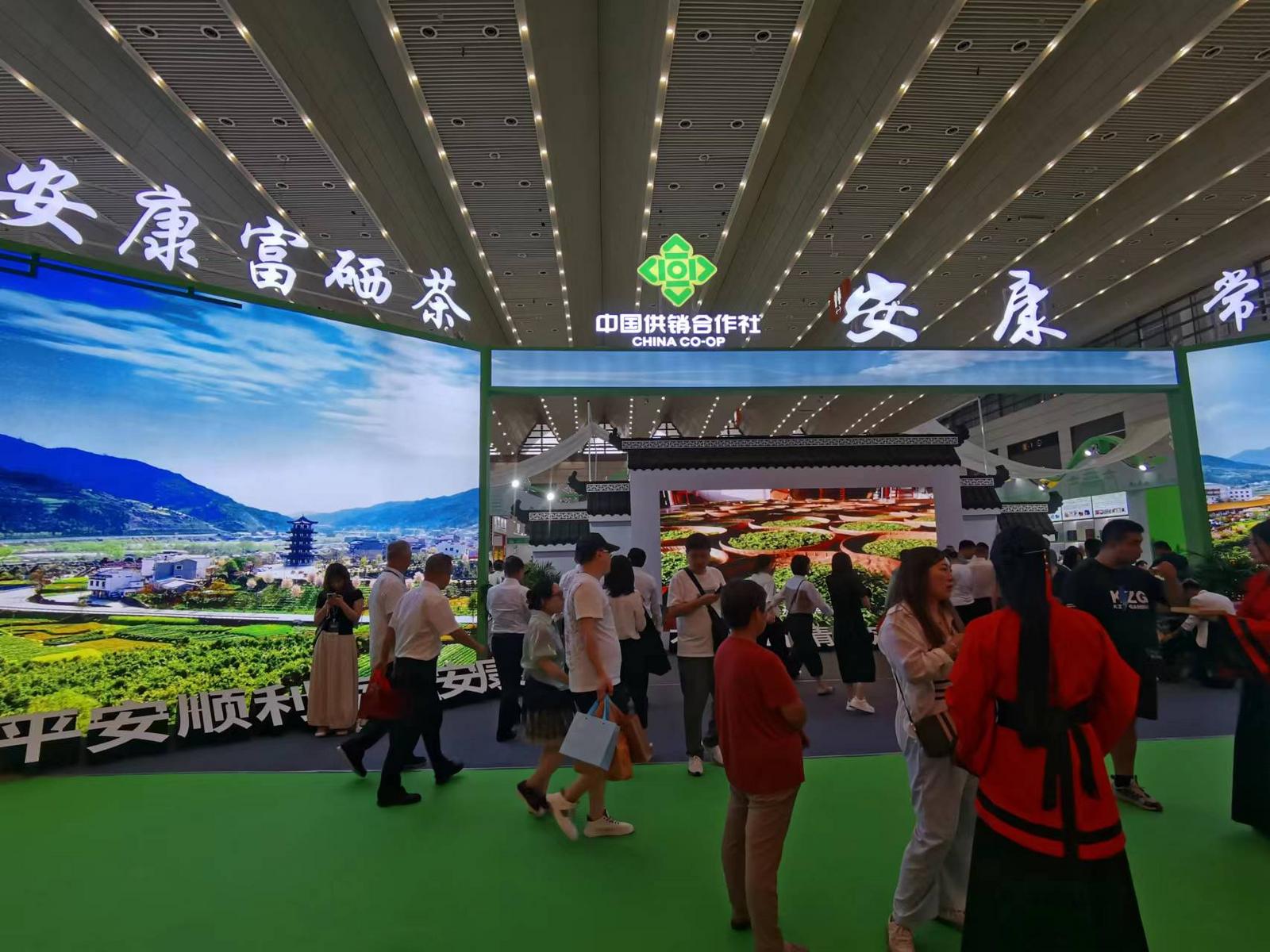 陕西安康富硒茶博会(安康富硒茶多少钱一斤汗水晨雾)-硒宝网