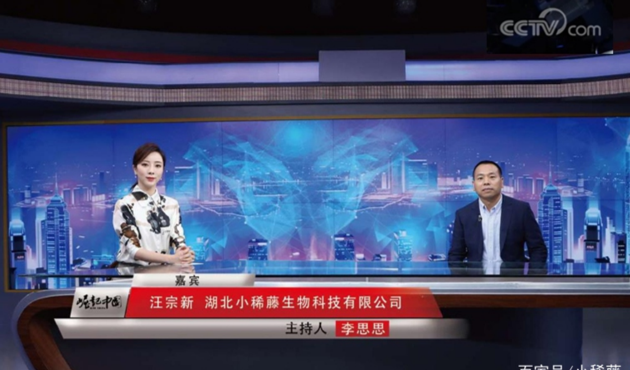 小稀藤来凤富硒藤茶