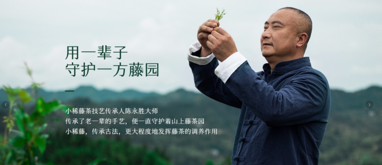 小稀藤来凤富硒藤茶
