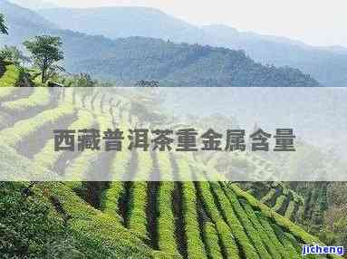 普洱茶硒含量标准：多少算高，多少合适？