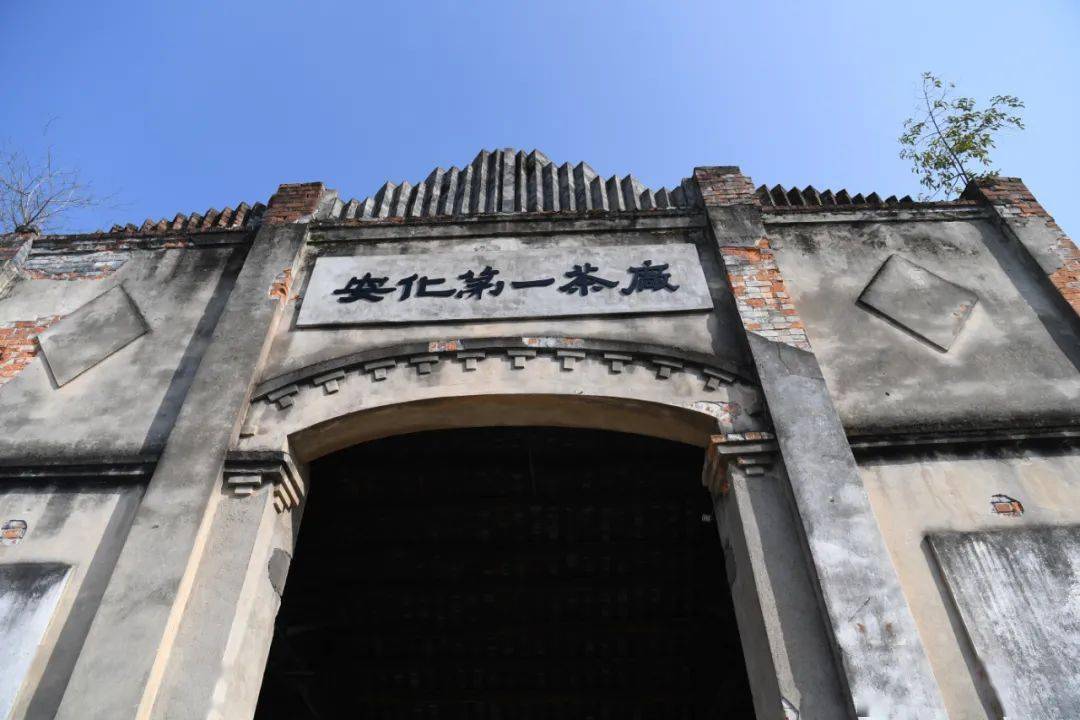 富硒黑茶是哪里产的