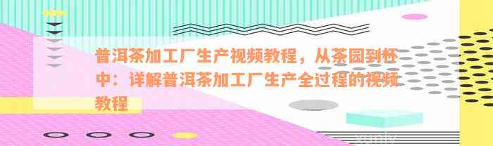 普洱茶加工厂生产视频教程，从茶园到杯中：详解普洱茶加工厂生产全过程的视频教程