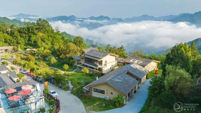 紫阳县富硒茶采摘园