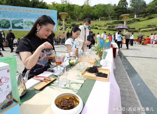 南宫山富硒茶怎么样