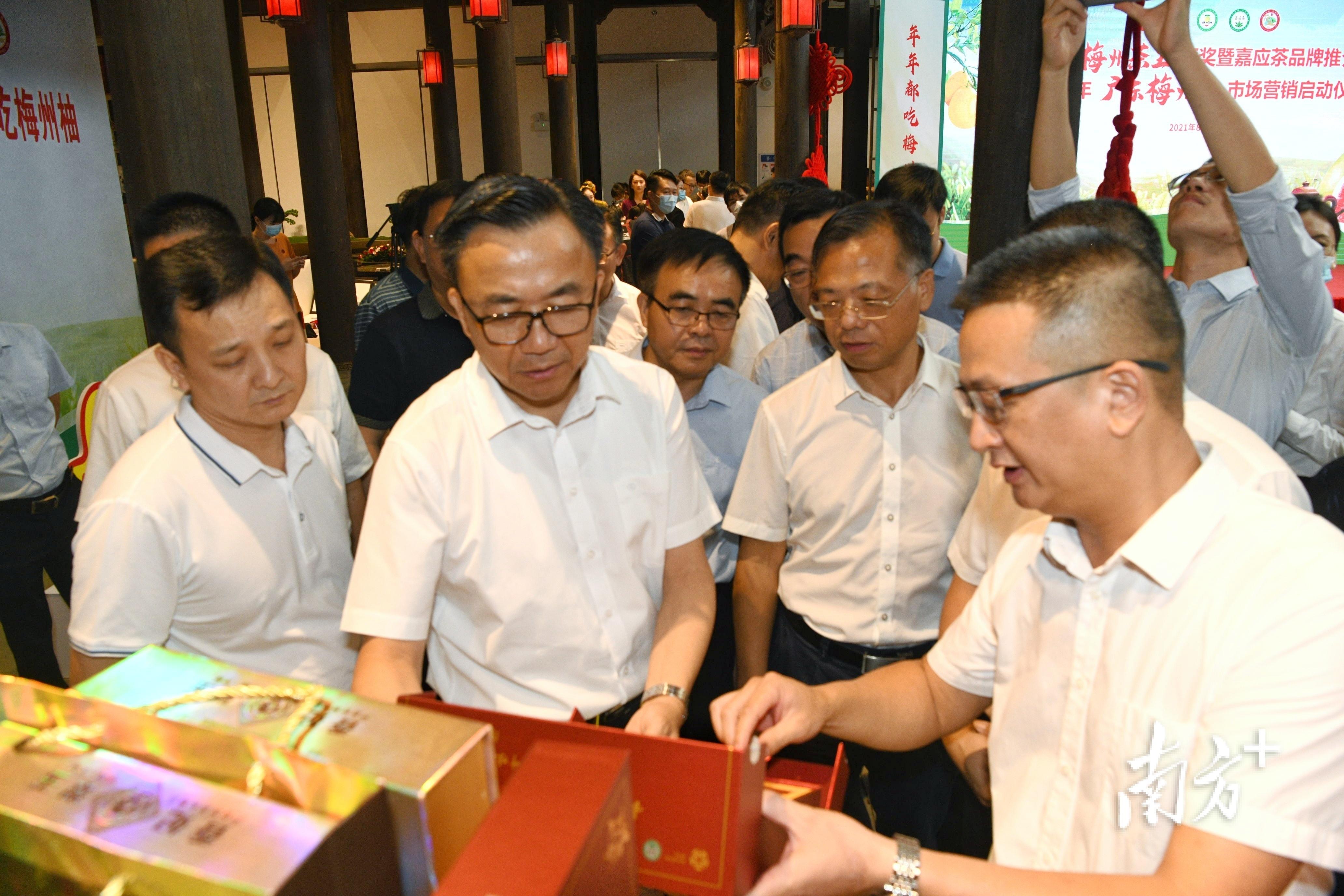 梅州富硒茶基在那里