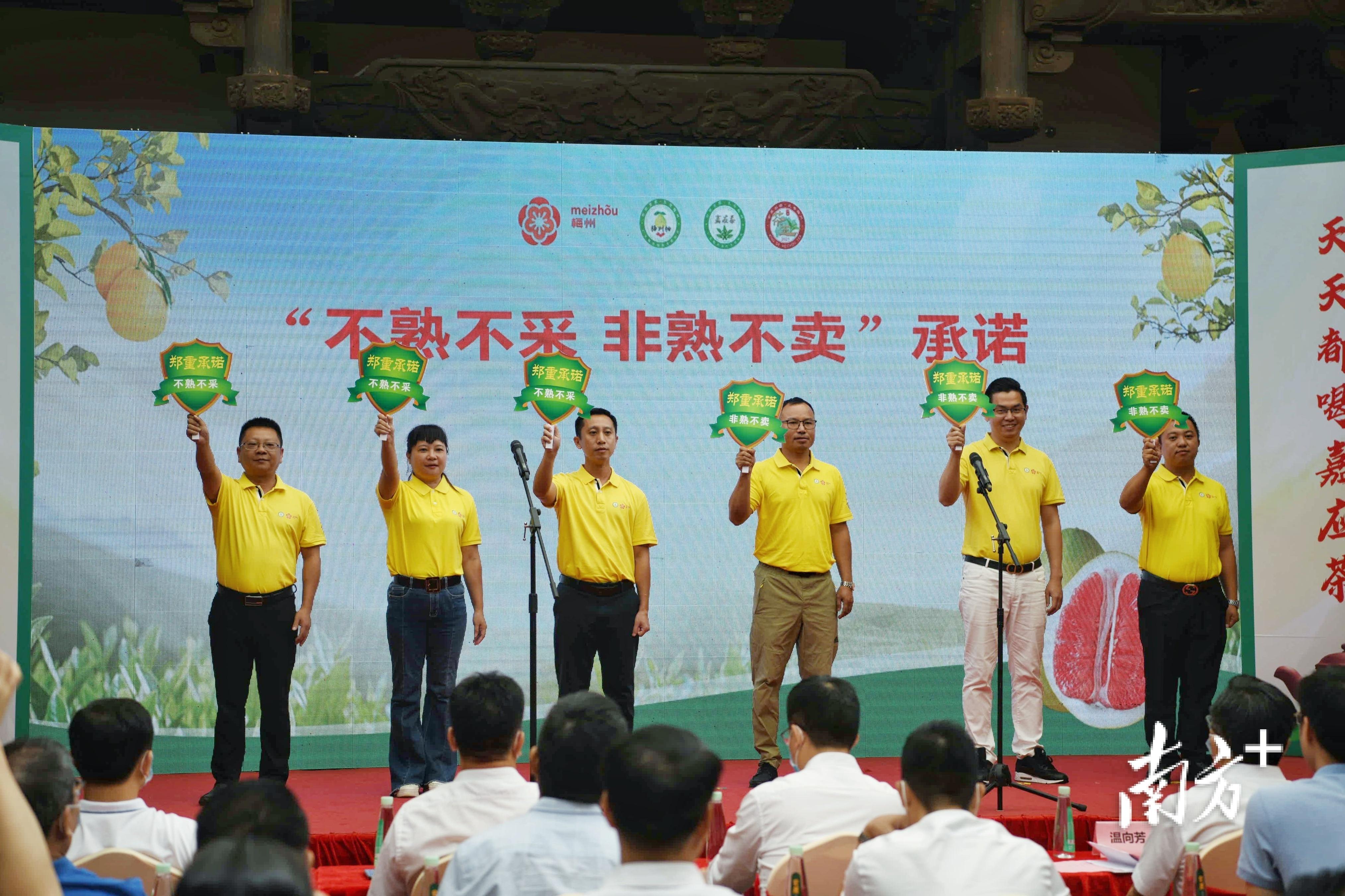 梅州富硒茶基在那里