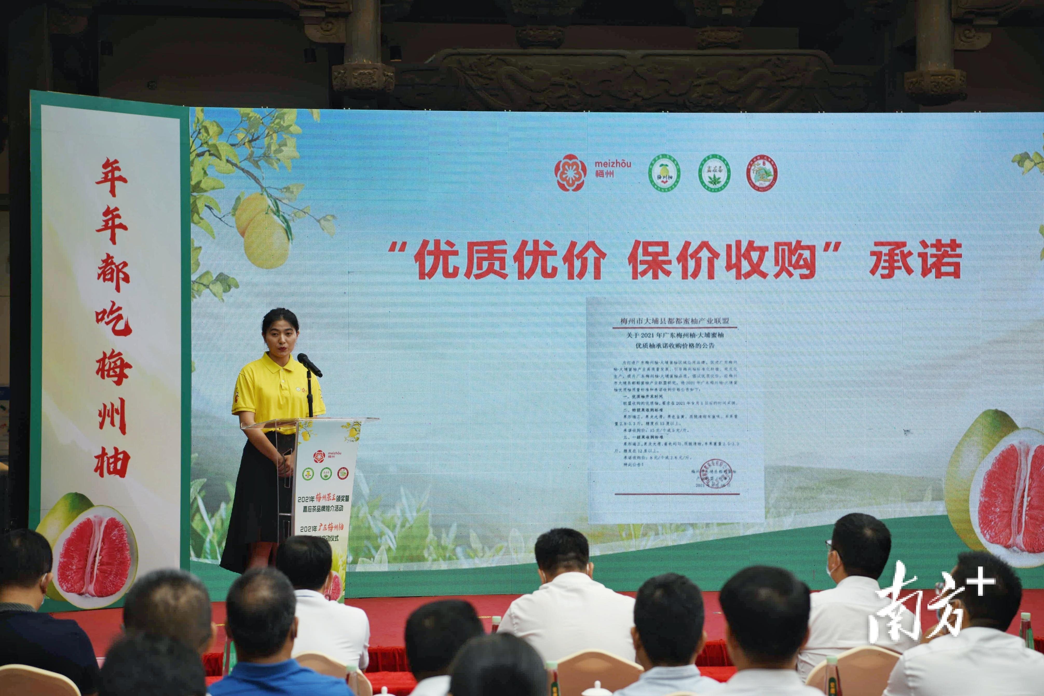 梅州富硒茶基在那里