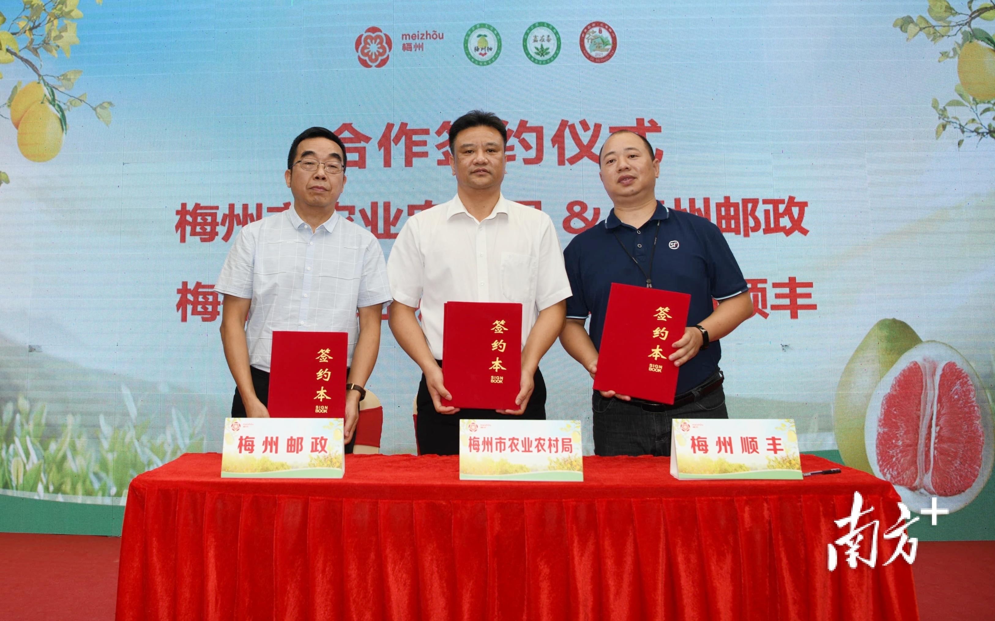 梅州富硒茶基在那里