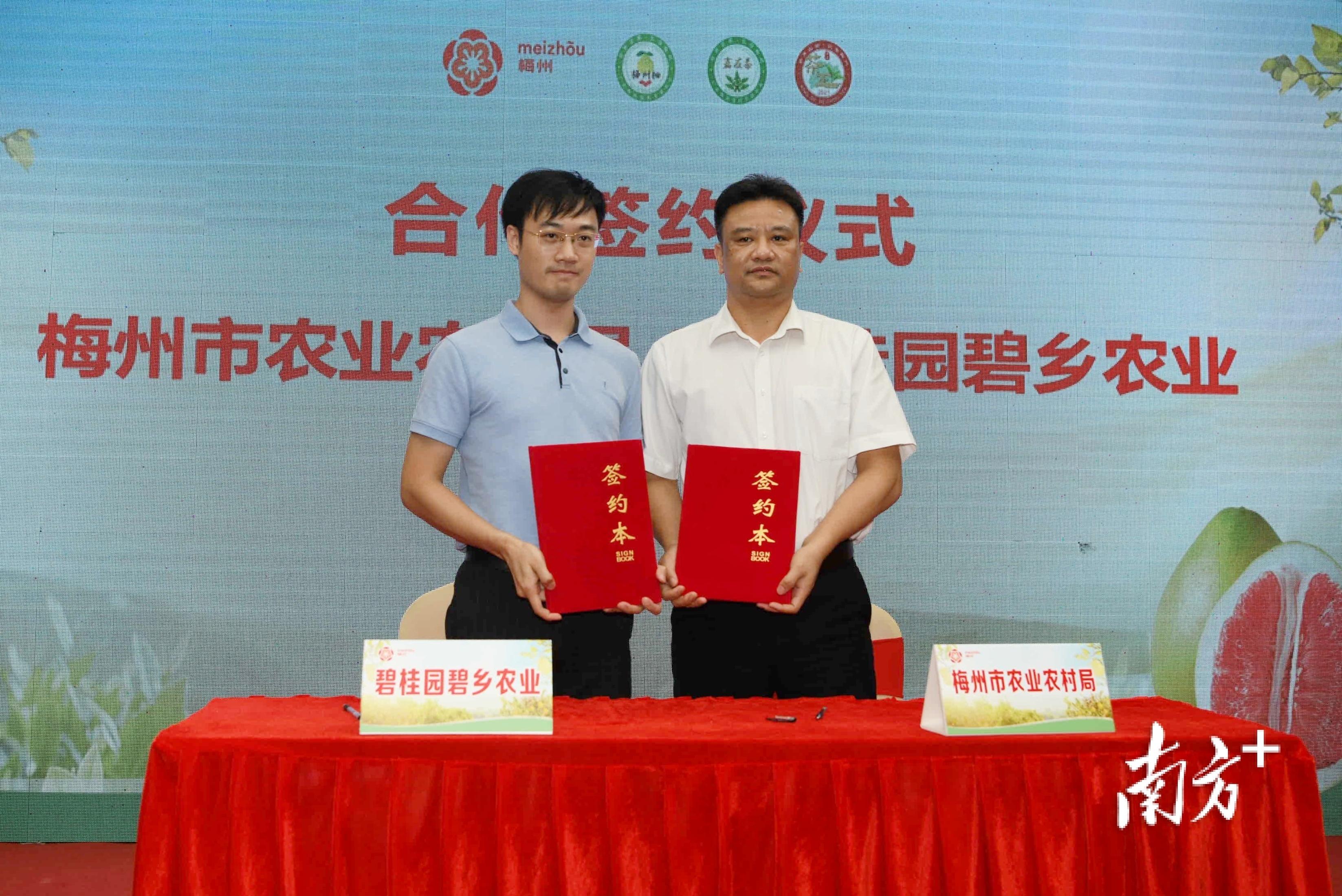 梅州富硒茶基在那里