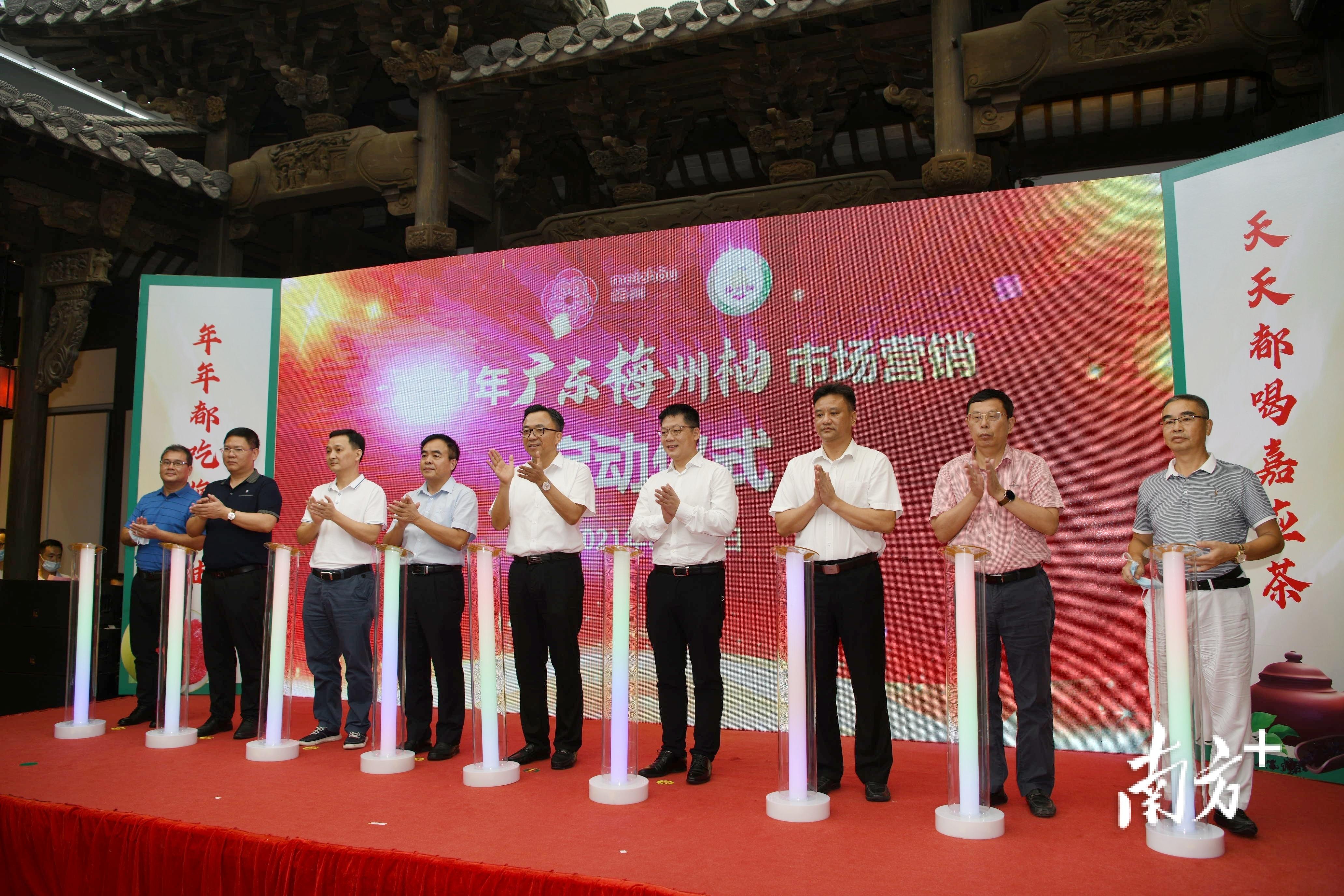 梅州富硒茶基在那里