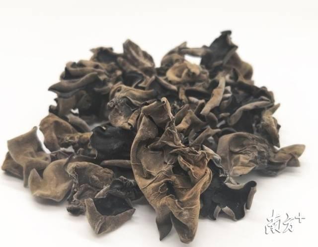 梅州富硒茶基在那里