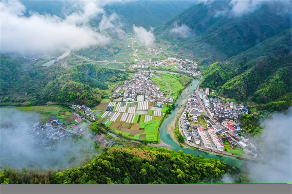 仙寓山富硒茶种植地