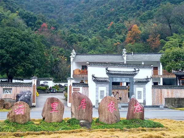 仙寓山富硒茶种植地