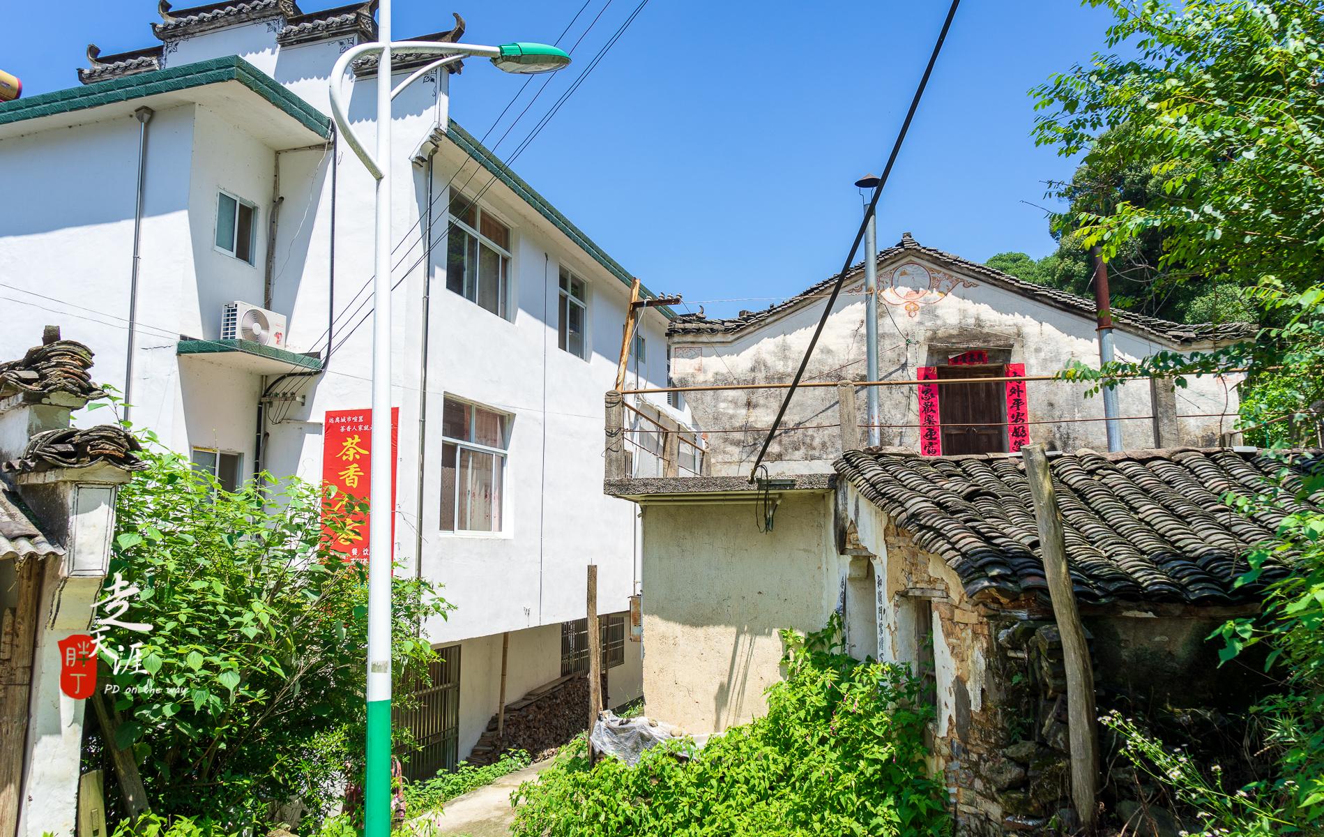 石台县仙寓山富硒茶