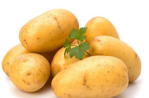 补钙菜(啥蔬菜补钙)-硒宝网