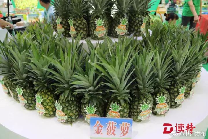 广东省富硒茶研究院