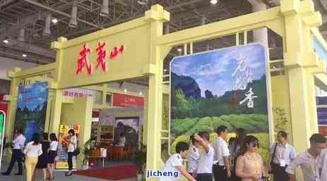 八仙茶是什么？详解八仙茶的茶类归属与特点
