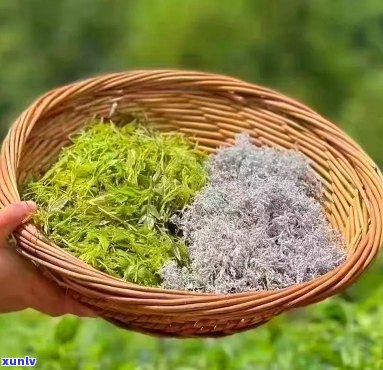 湖北恩富硒藤茶，探索健饮品新选择：湖北恩富硒藤茶