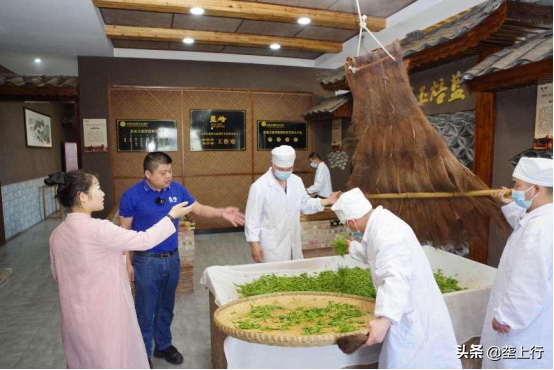 恩施富硒茶第一品牌