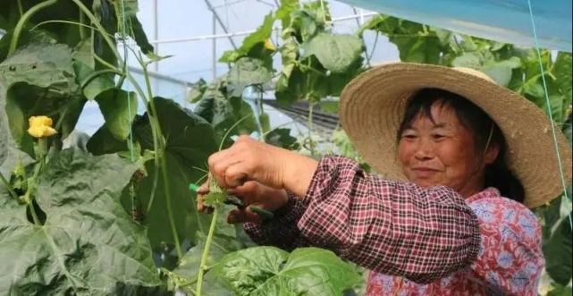 于都富硒大米的优点