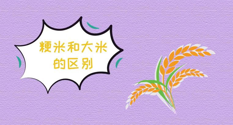 生态富硒大米雷代表