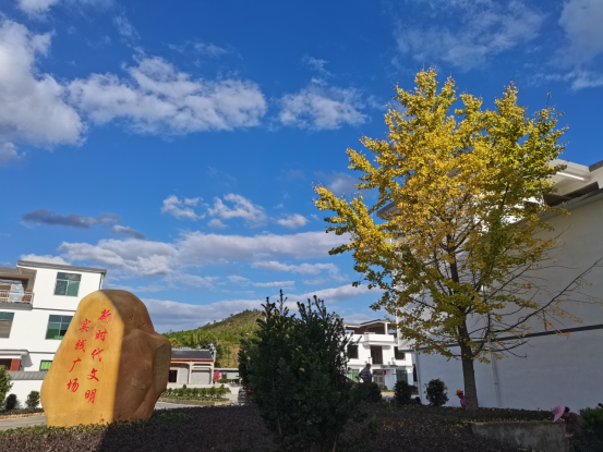 富硒大米哪家服务好