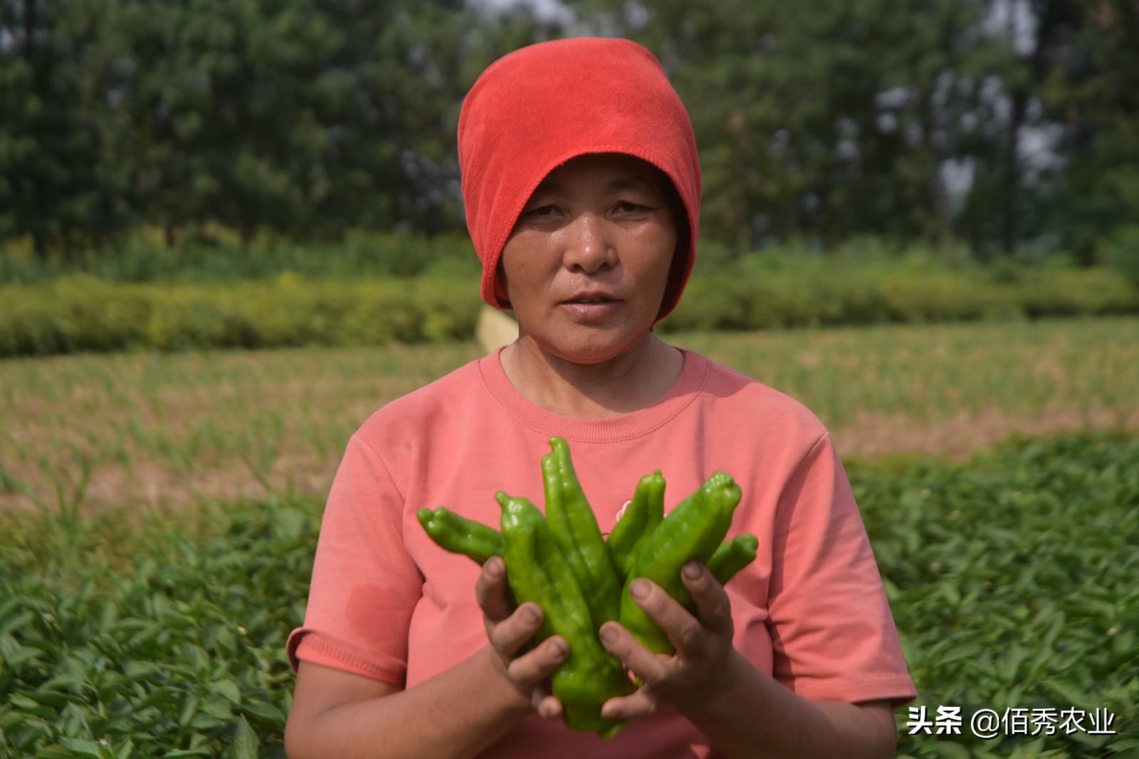 钙属于微量元素吗