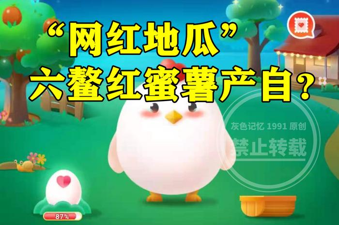 减肥吃海南富硒地瓜
