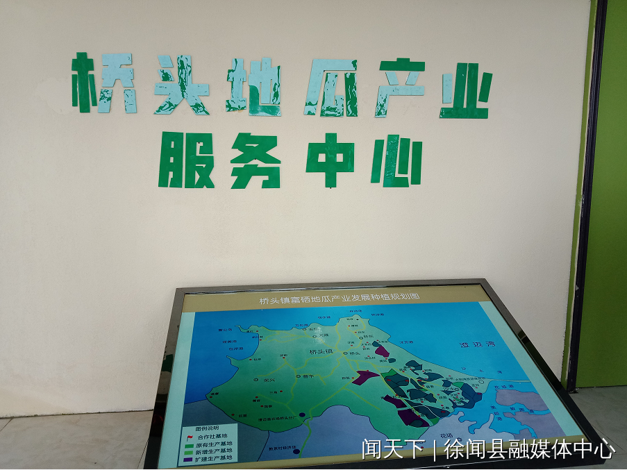 桥头富硒地瓜是哪里