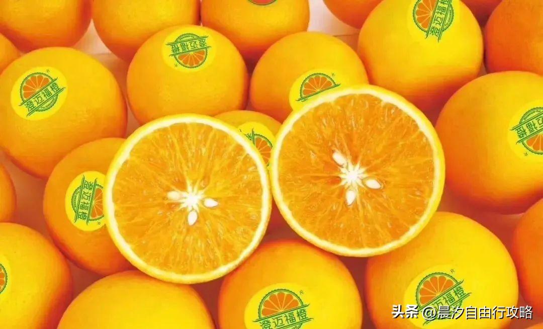 桥头富硒地瓜种植户