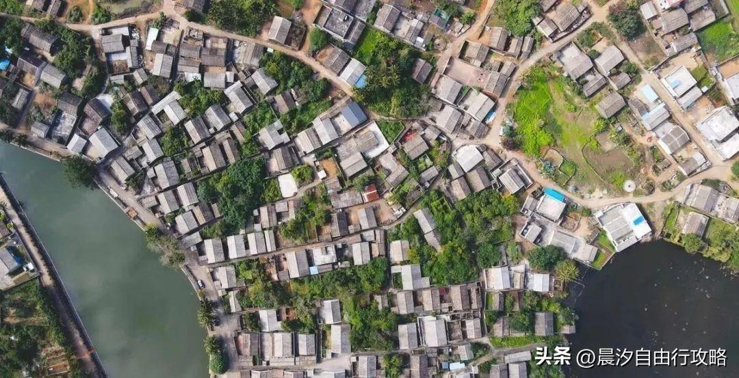 桥头富硒地瓜种植户